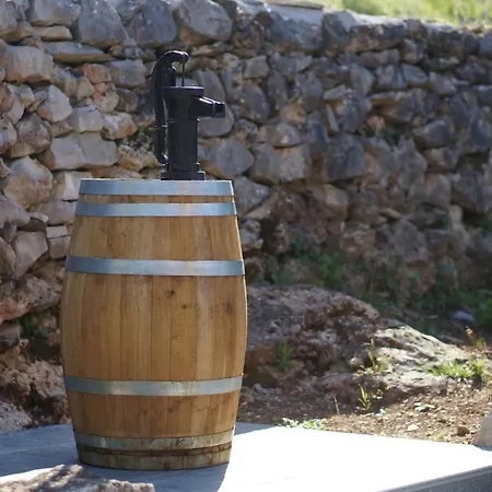 Eco Friendly Maja Vela Luka